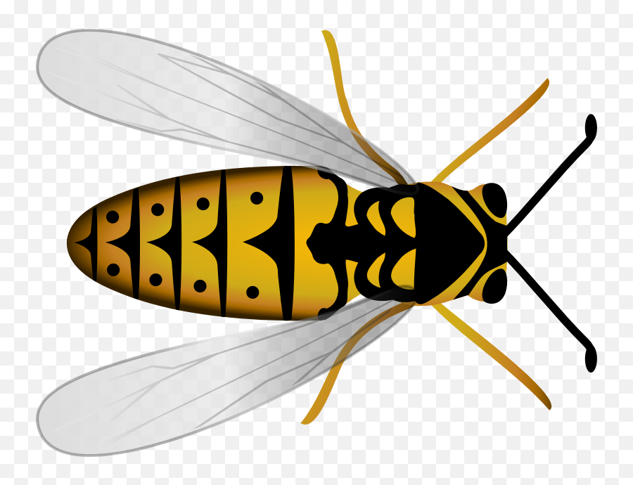 Openclipart - Clipping Culture Emoji,Hornets Clipart