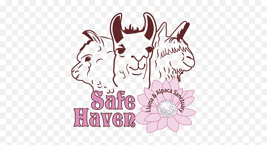 Safe Haven Llama U0026 Alpaca Sanctuary - Nonprofit Giving Girly Emoji,Cute Llama Clipart