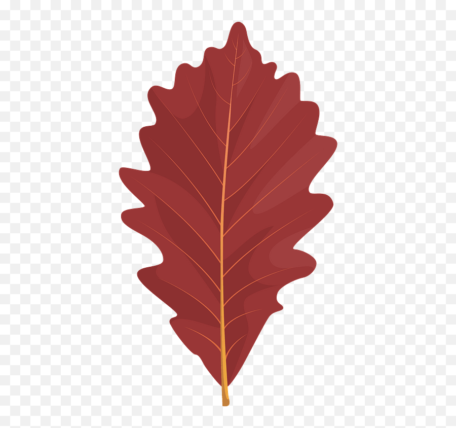 Swamp White Oak Red Leaf Clipart - Chinkapin Oak Emoji,Fall Leaf Clipart Black And White