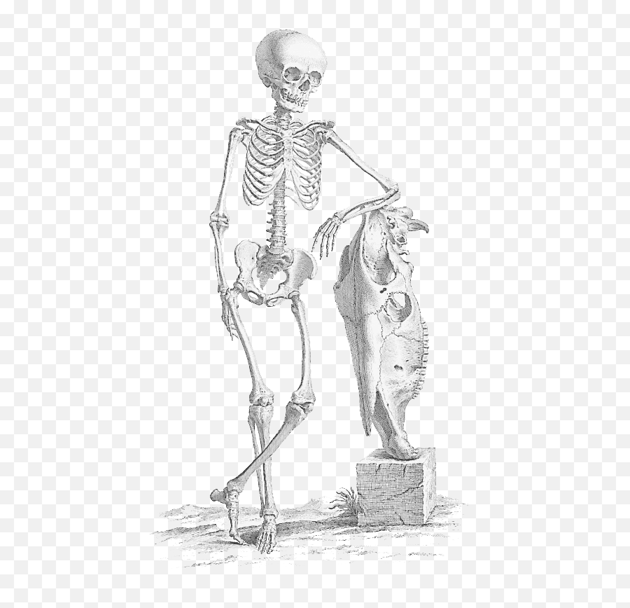 Download Free Png Download Halloween Skeleton Skeleton Png - Skeleton Praying Meaning Emoji,Skeleton Png