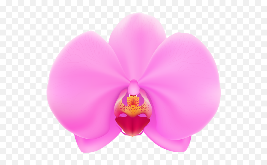 Orchid Flower Clipart Transparent Png - Vector Orchid Flower Png Emoji,Orchid Clipart