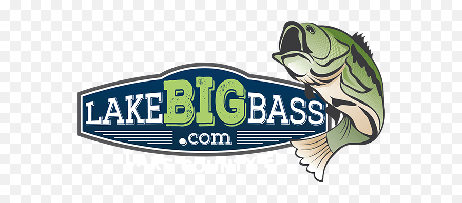Fishing - Bass Emoji,Bass Fish Png