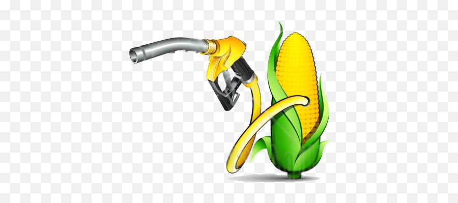 Biomass All To You Need To Know Texas Green Rangers Emoji,Fossil Fuel Clipart