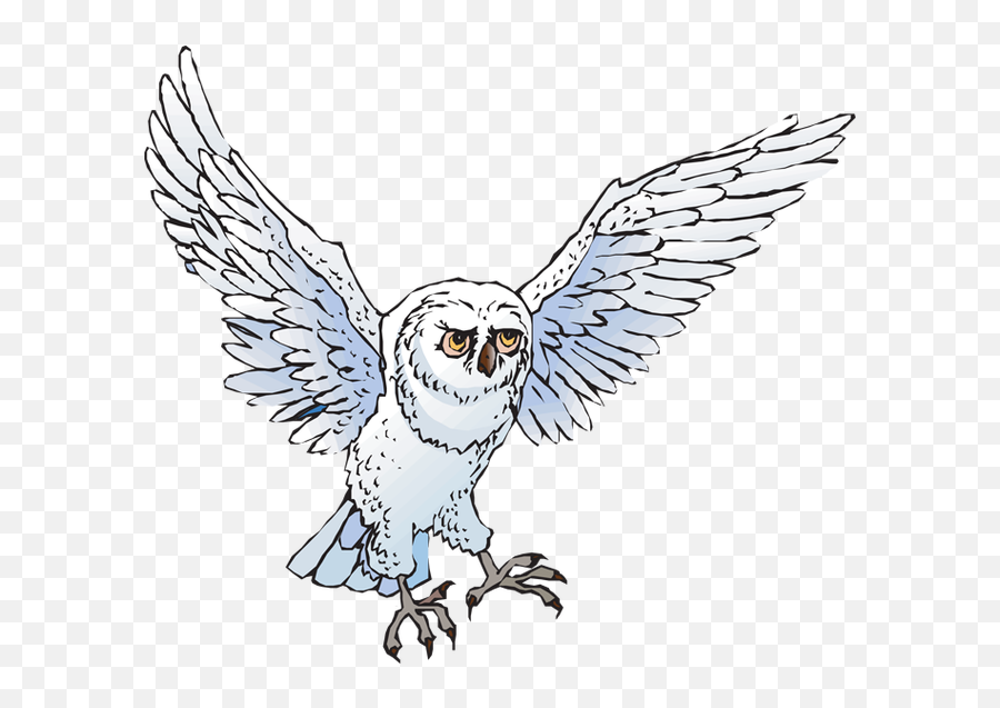 Snowy Owl Clip Art Images Snowy Owl Stock Photos Clipart Emoji,Owl On Branch Clipart