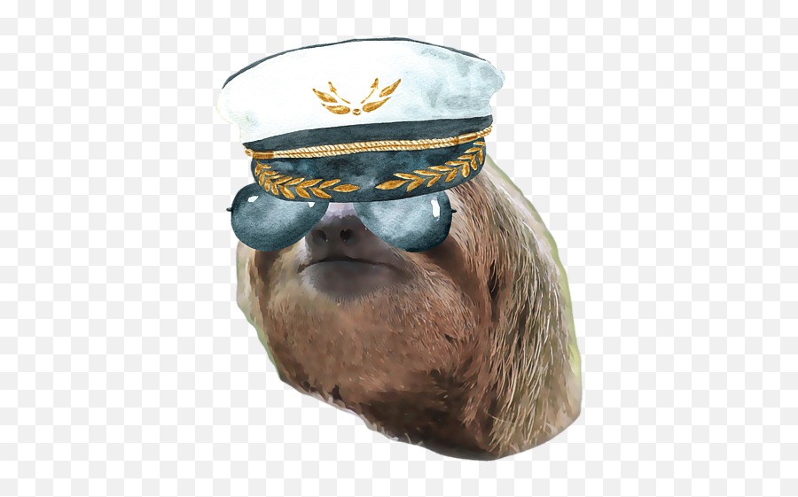 Sloth Aviator Glasses Captain Hat Sloths In Clothes Emoji,Captain Hat Png