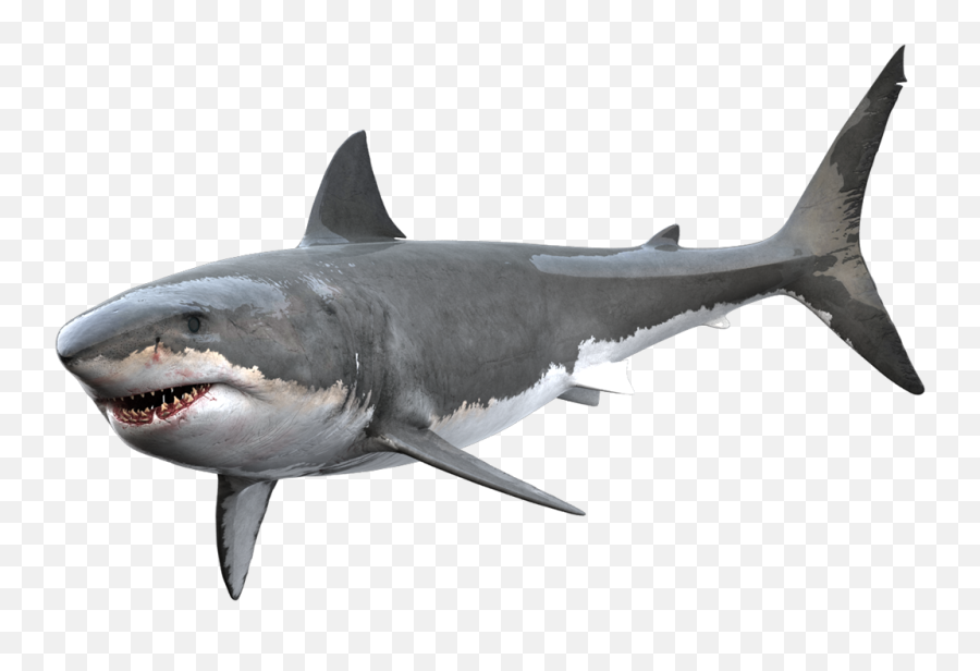 Great White Shark Shark Clipart Silhouette - Great White Shark Transparent Background Emoji,Shark Clipart