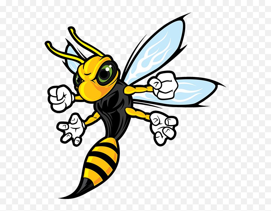 Head Clipart Hornet Head Hornet Transparent Free For - Hornet Cartoon Png Emoji,Hornet Logo