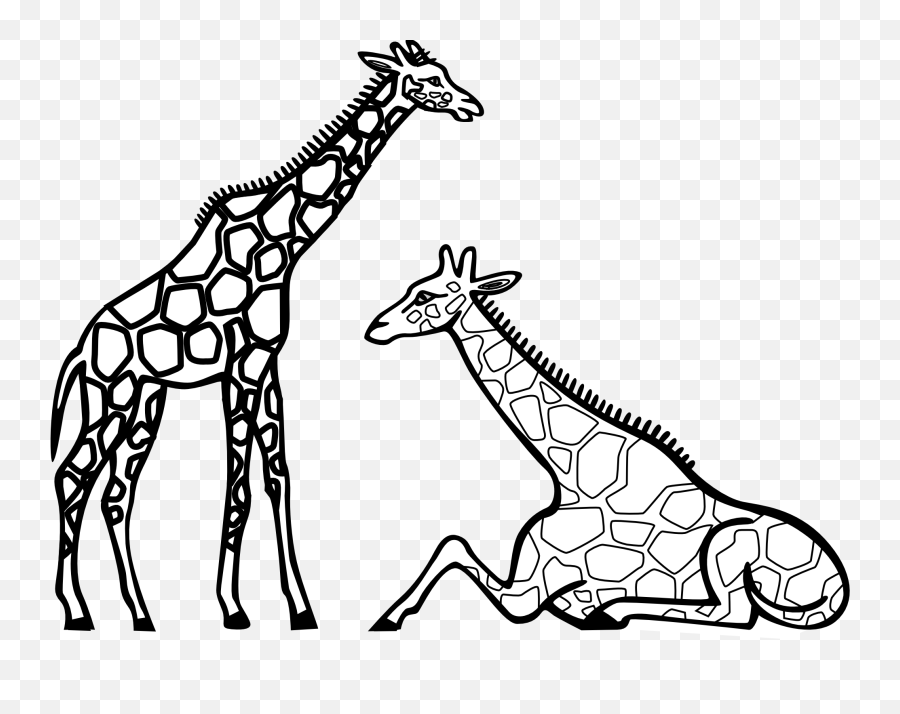 Giraffe Clip Art Black And White - Giraffes Clipart Black And White Emoji,Panda Clipart