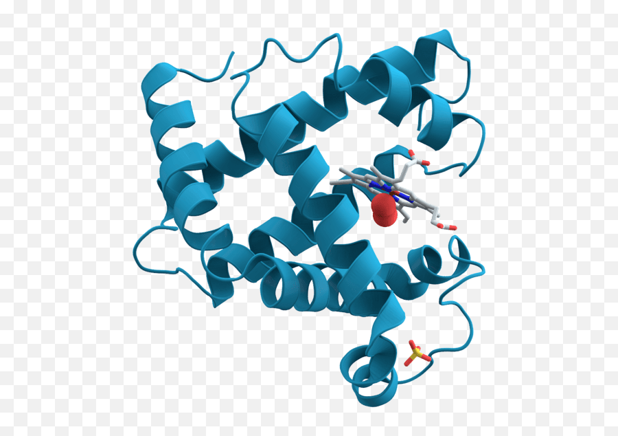 Why Are Protein Structures Represented Emoji,Protein Clipart
