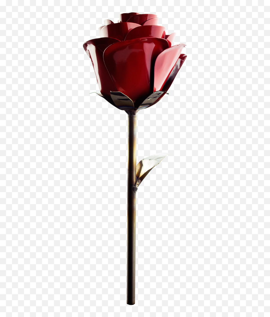 Stainless Rose U2013 Tiffany Blue U2013 Tailored Group - Flame Rose Fire Png Emoji,Black Rose Png