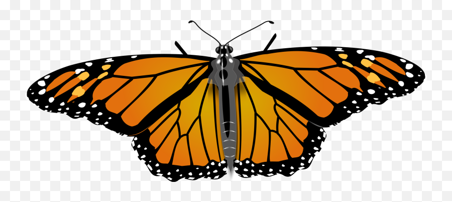 Hd Monarch Butterfly Transparent - Monarch Butterfly White Emoji,Monarch Clipart