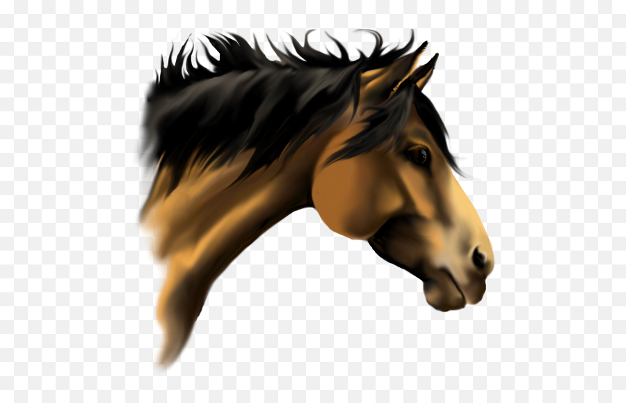 Horse Faces Clip Art Buckskin Horse Face 4ja2xl - Clipart Emoji,Face Paint Clipart