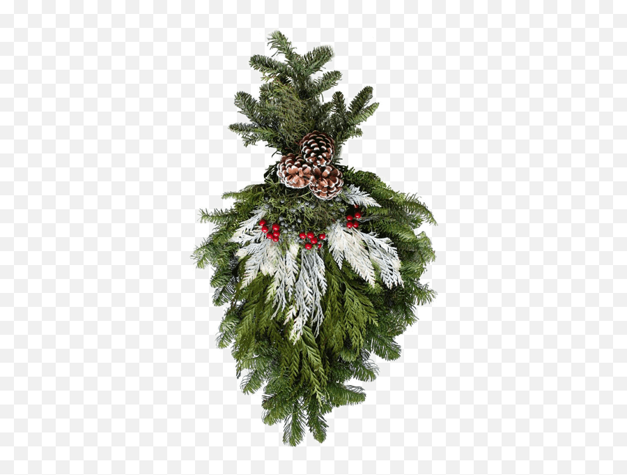 Employee Christmas Tree Program U2013 Wood Mountain Emoji,Christmas Greenery Png