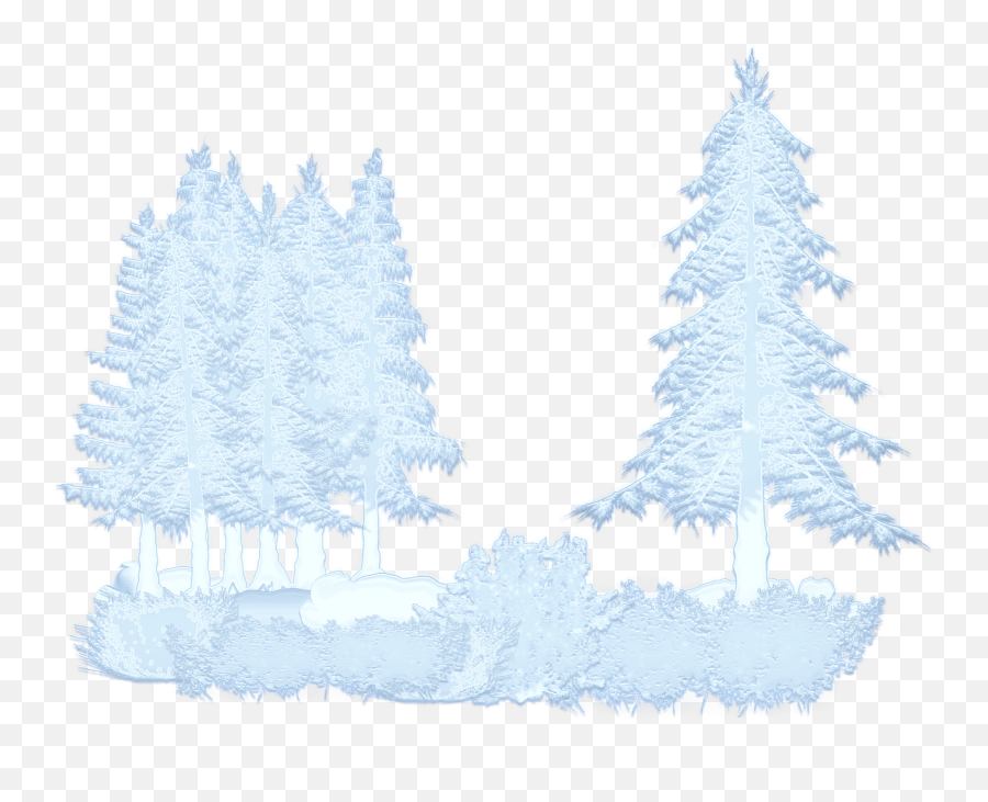 Winter Snow Trees Forest Png - New Year Tree Emoji,Forest Png