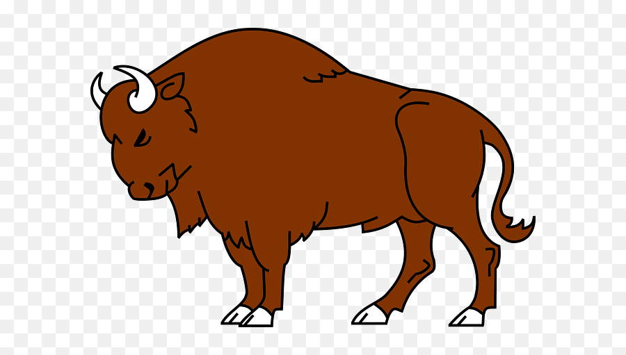 Download Bison Animal Wild Buffalo Wildlife America - Bison Bison Clipart Emoji,Buffalo Clipart