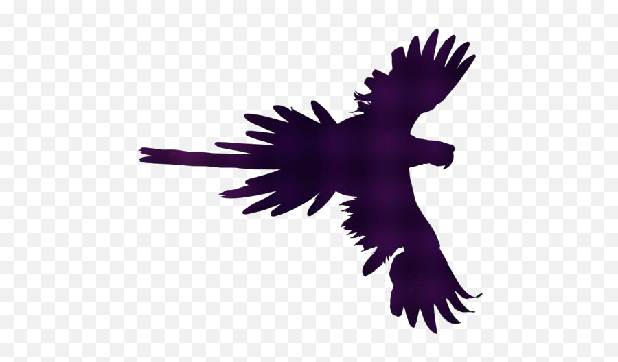 Transparent Bird Flying Drawing Pngimagespics Emoji,Bird Flying Transparent