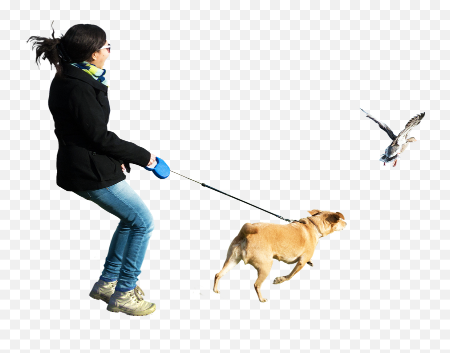 People Png Clipart Hq Png Image - Dogs Running Transparent Background Emoji,People Png