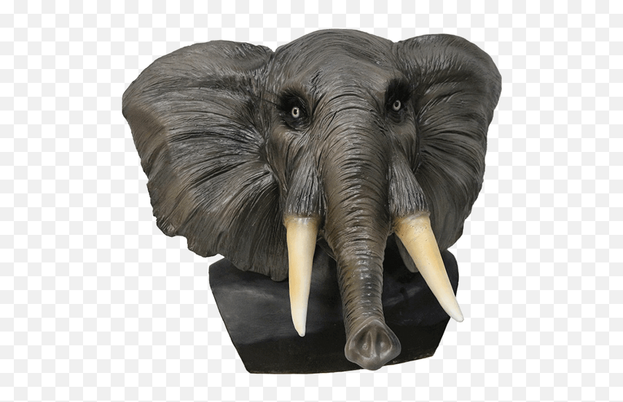 Elephant Head - Animal Mask Of Elephant Transparent Png Emoji,Elephant Head Png