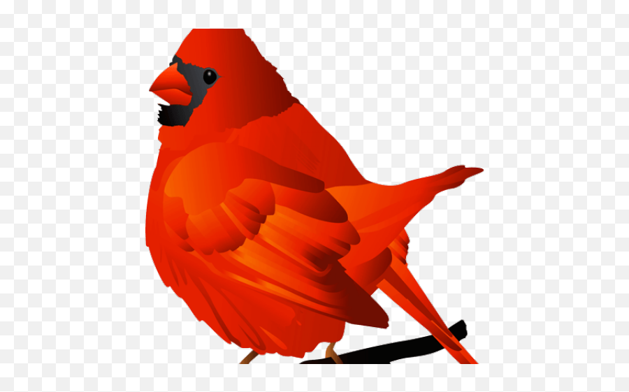 Cardinal Clipart Transparent - Cardinal Emoji,Cardinal Clipart