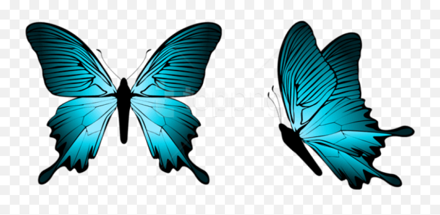 Free Butterfly Png Transparent Images - Alice In Wonderland Butterfly Png Emoji,Butterfly Png
