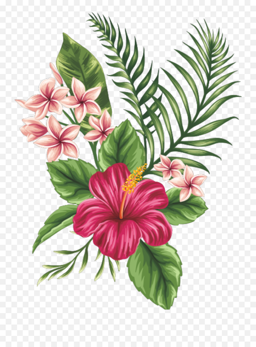 Hibiscus Clipart Png Tumblr - Tropical Flowers Png Emoji,Hibiscus Clipart