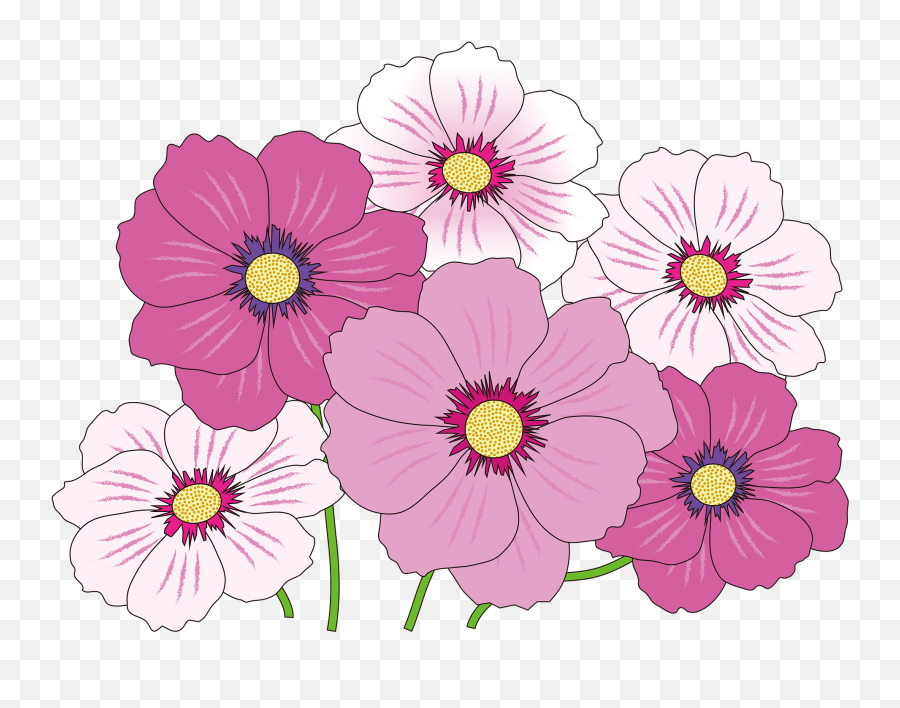 Cosmos Flowers Clipart Free Download Transparent Png - Pink Flowers Icon Png Emoji,Flower Clipart Transparent
