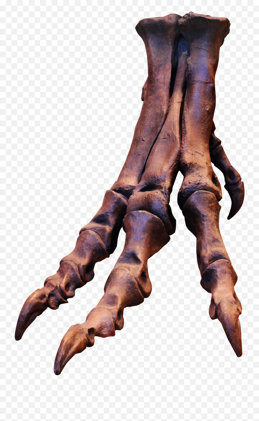 Trex Skeleton Bones Hand Free Image Download - T Rex Foot Bones Emoji,Skeleton Hand Png