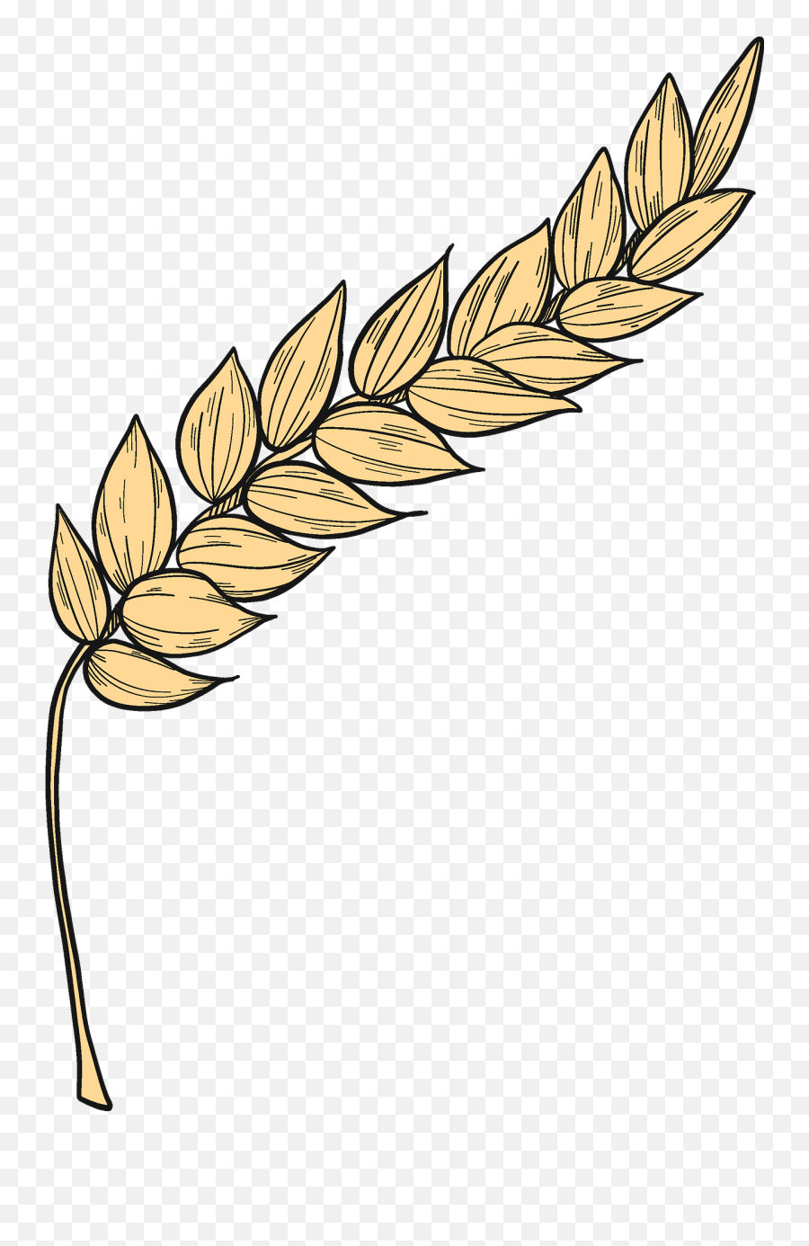 Wheat Clipart - Khorasan Wheat Emoji,Wheat Clipart
