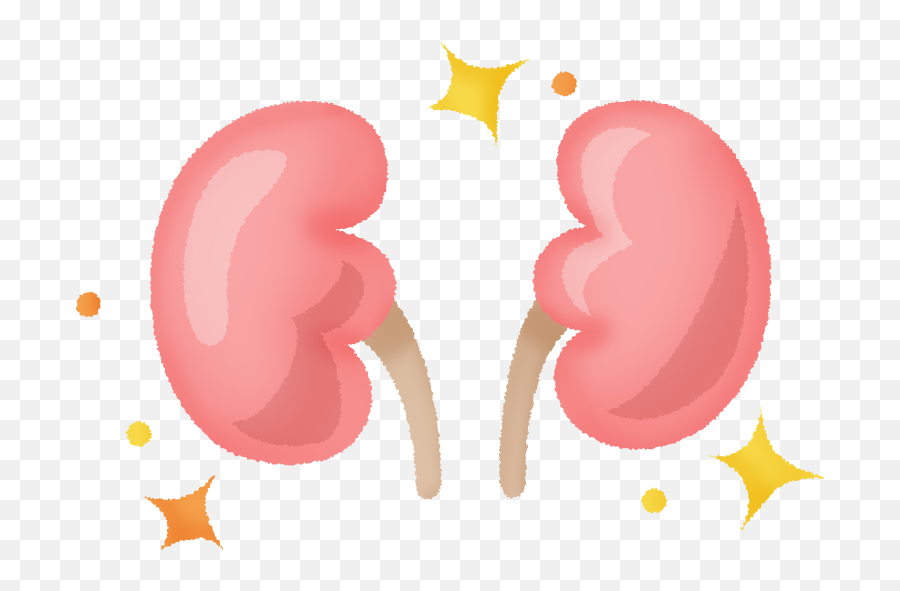 Kidneys Healthy Free Clipart Illustrations - Japaclip Emoji,Kidneys Clipart