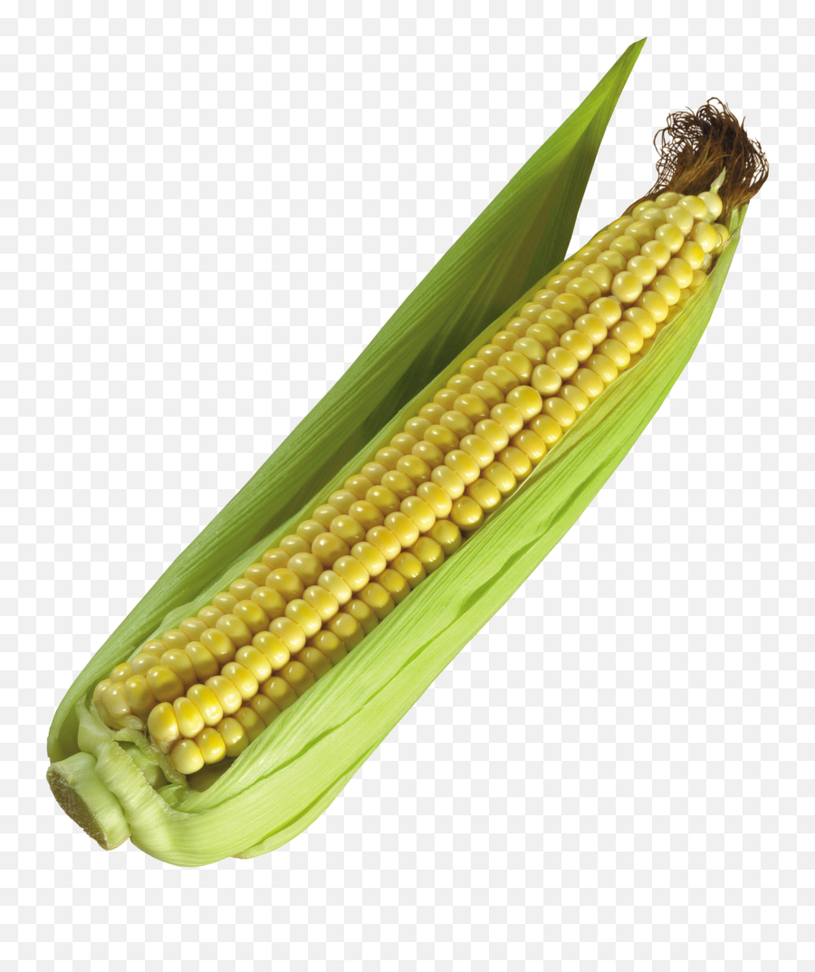 Download Corn Free Png Transparent - Corn Png Emoji,Corn Png