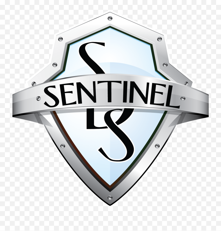 Team Sentinel Gaming - Summary Dotabuff Dota 2 Stats Logo For The Word Sentinel Emoji,Dota Logo