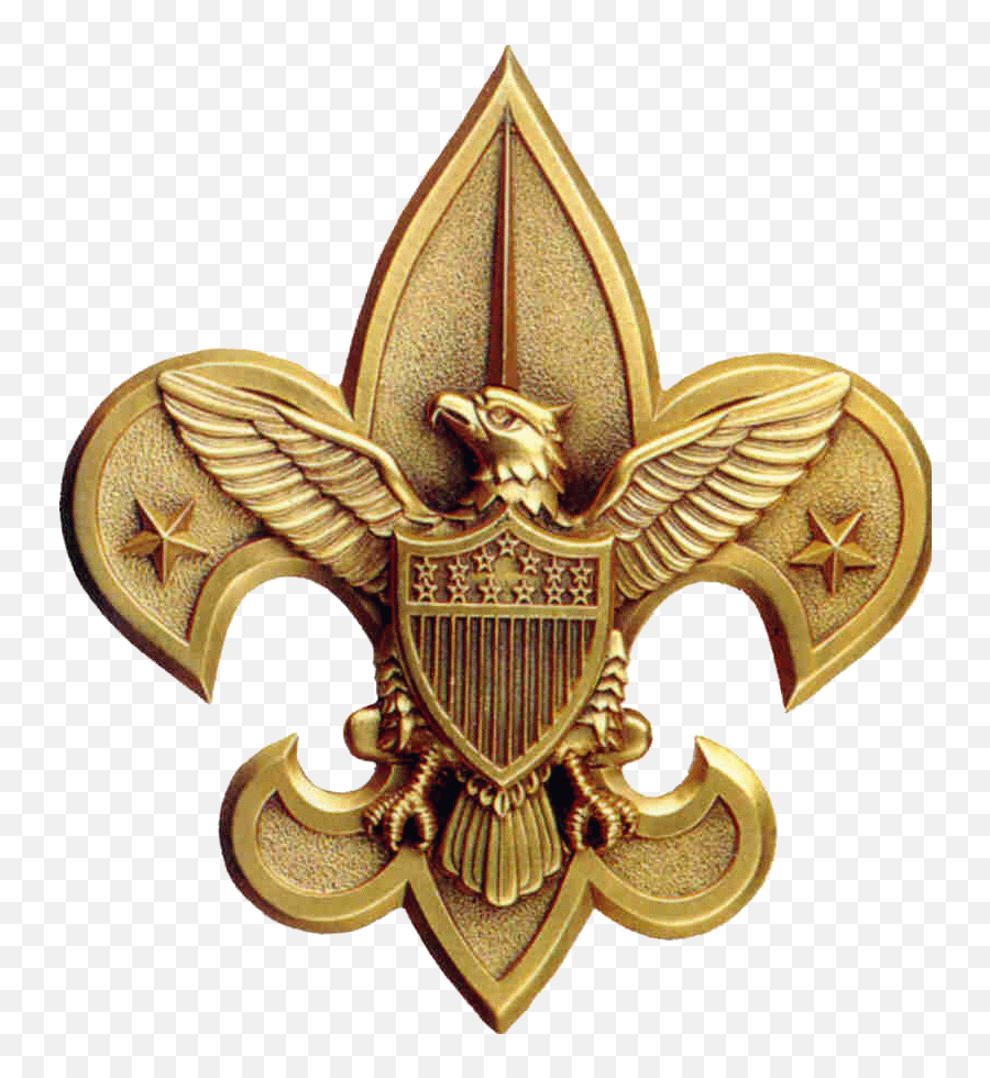 Eagle Honor Roll - Bsa Troop 57 Boy Scout Gold Fleur De Lis Emoji,Bsa Logo