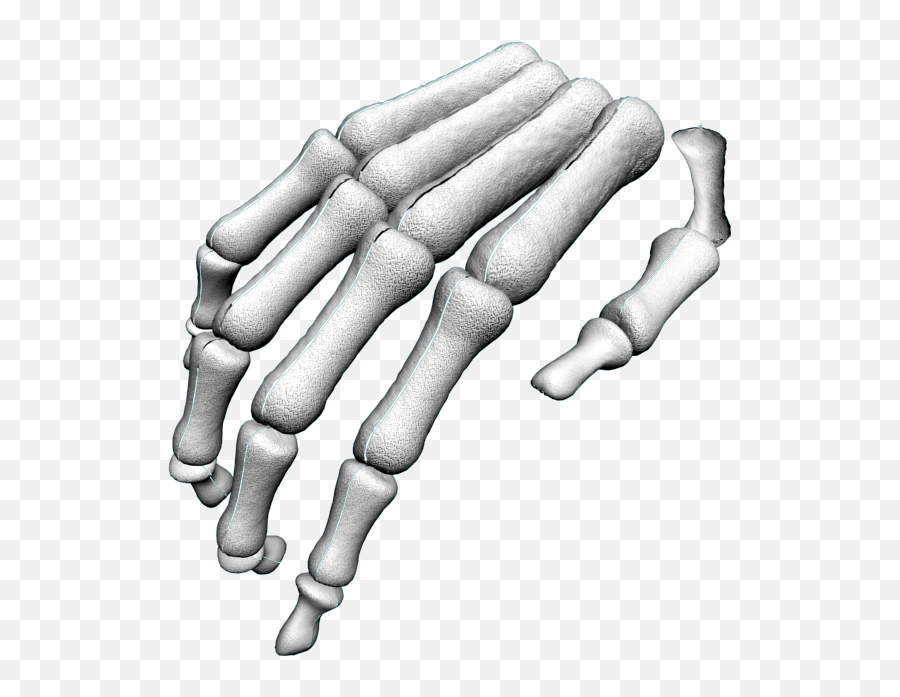 Download Hd Skeleton Arm Png - Hand Transparent Png Image Transparent Skeleton Arm Png Emoji,Skeleton Hand Png