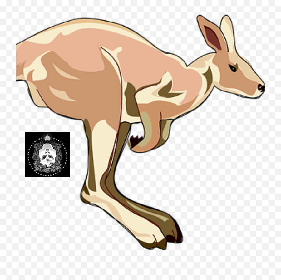 Cartoon Jumping Kangaroo Clipart - Eastern Grey Kangaroo Emoji,Kangaroo Clipart