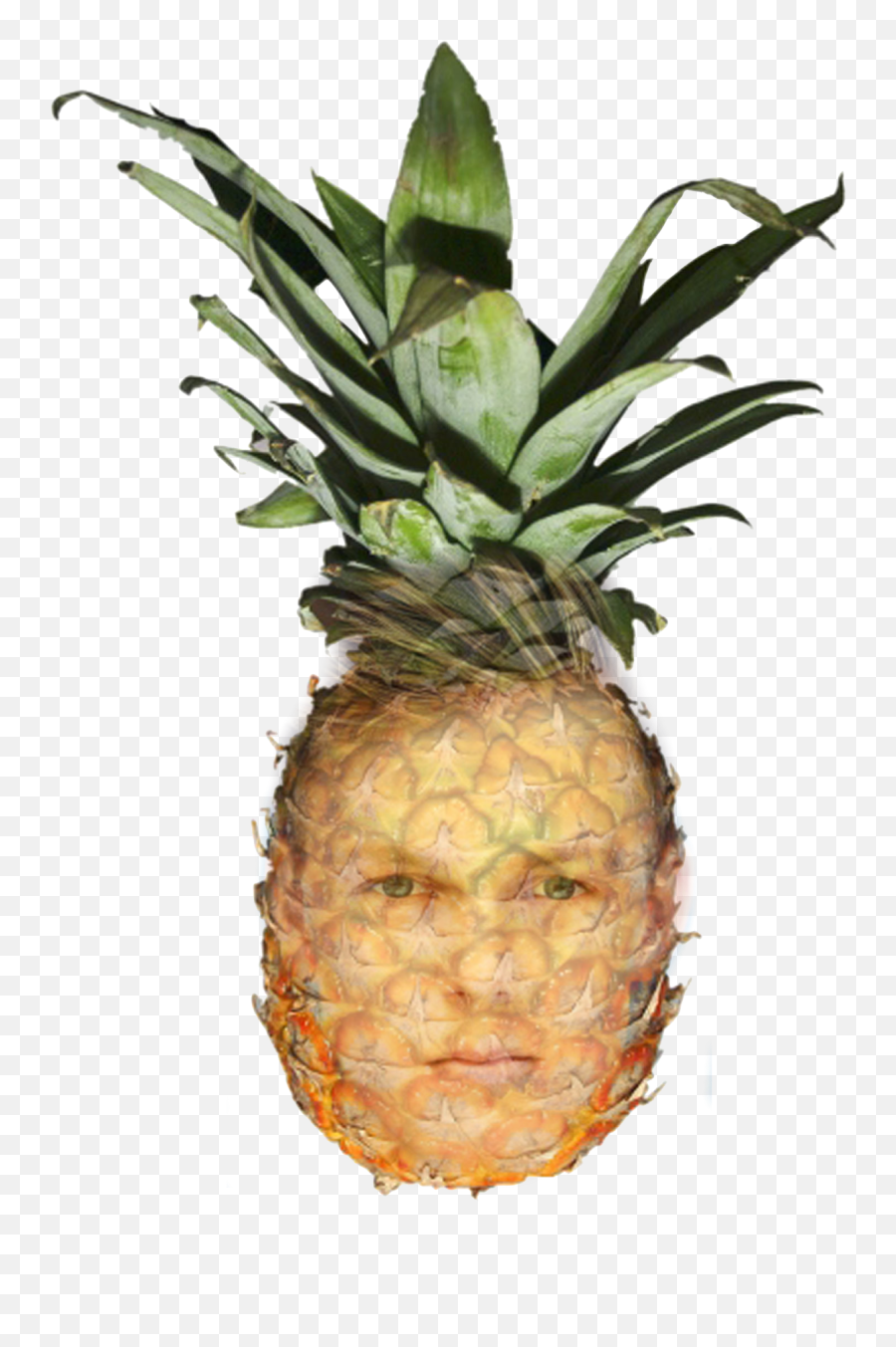 Ginger Pineapple Transparent Png - Pineapple Photoshop Emoji,Pineapple Transparent