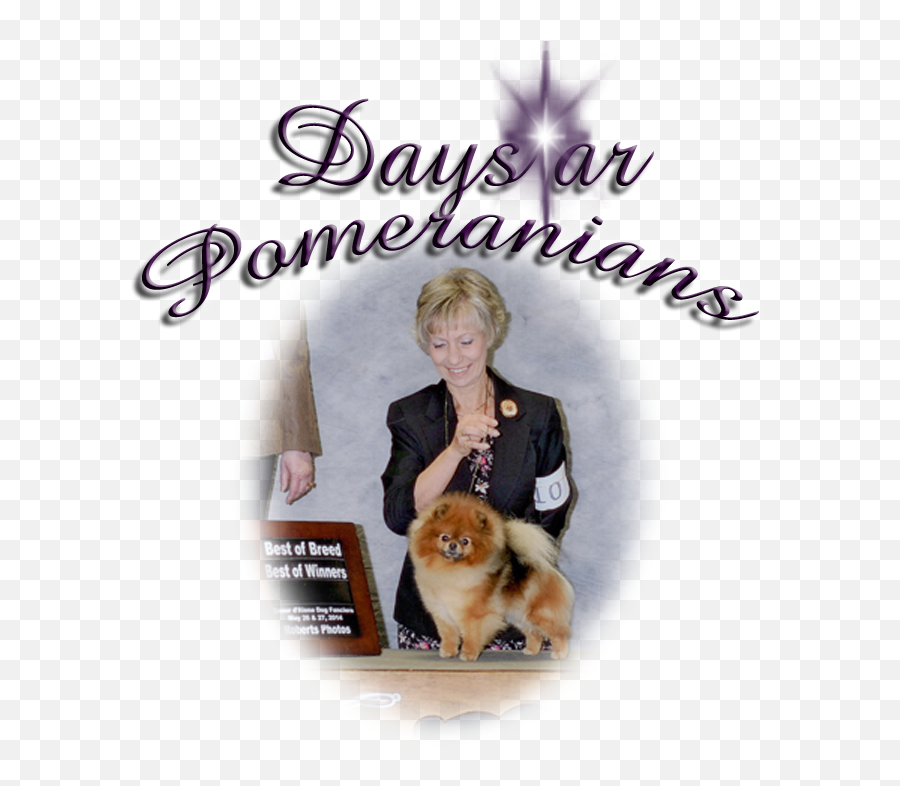 Download Hd Pomeranian Transparent Png Image - Nicepngcom Emoji,Pomeranian Png