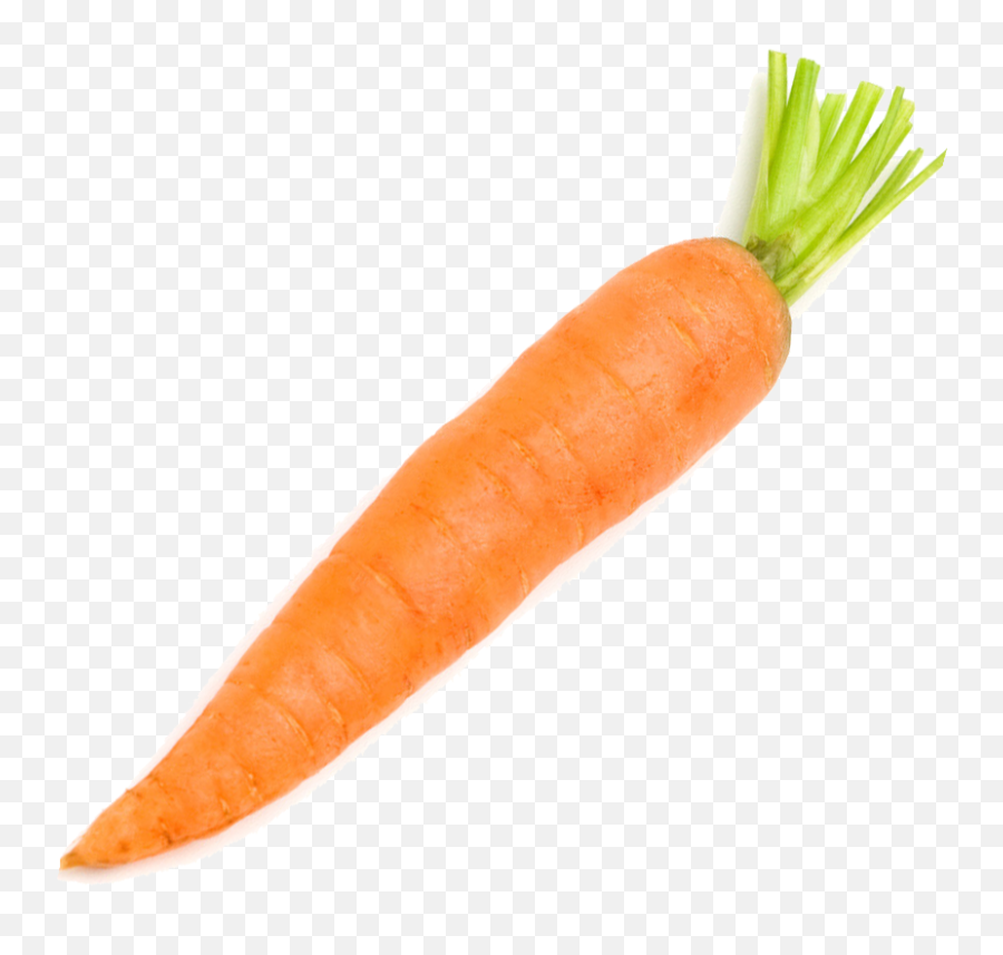Carrot Vegetable Radish - Transparent Carrot Png Emoji,Carrot Png