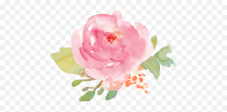 Pretty - Transparent Background Pink Flower Clipart Watercolor Emoji,Pink Watercolor Png
