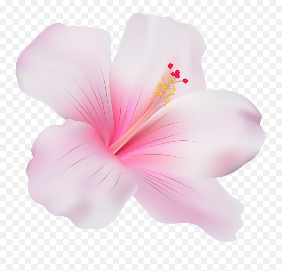 Download Pink Hibiscus Clipart Png - Pink Hibiscus Flower Transparent Emoji,Hibiscus Clipart
