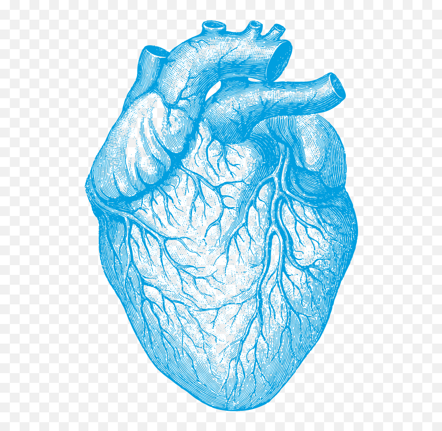 Expert Interviews - Human Heart Emoji,Human Heart Png