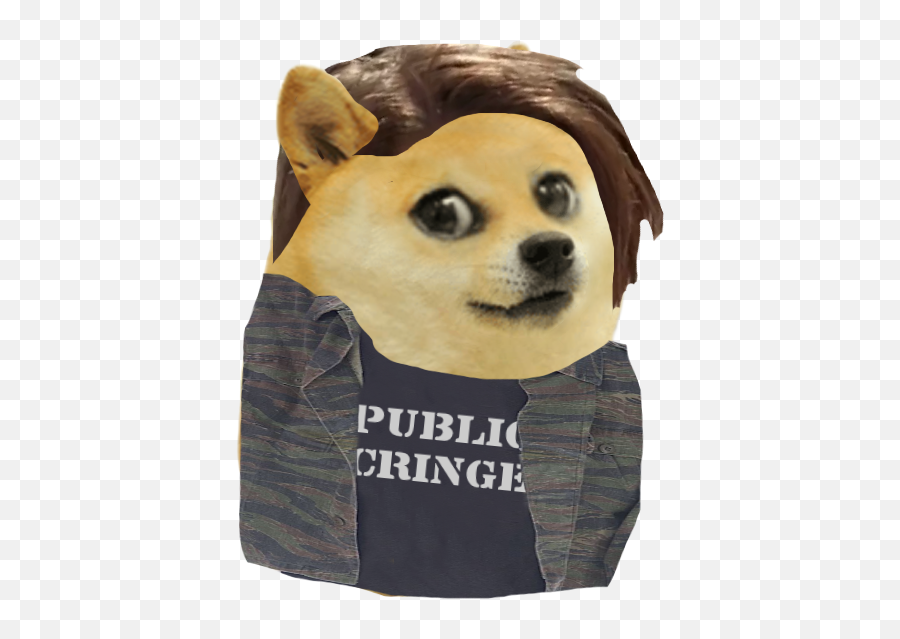 Terminator Doge Pngs - Album On Imgur Kid Doge Meme Emoji,Doge Png