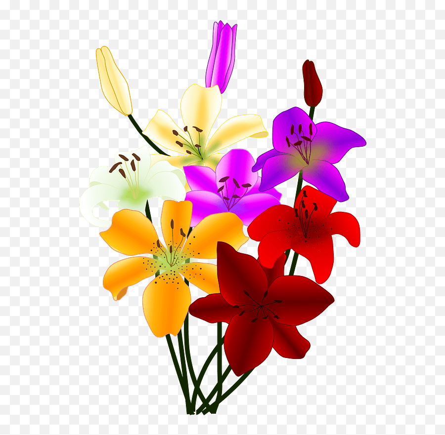 Bouquet Of Colorful Lilies Clipart Free Download Emoji,Lilies Clipart