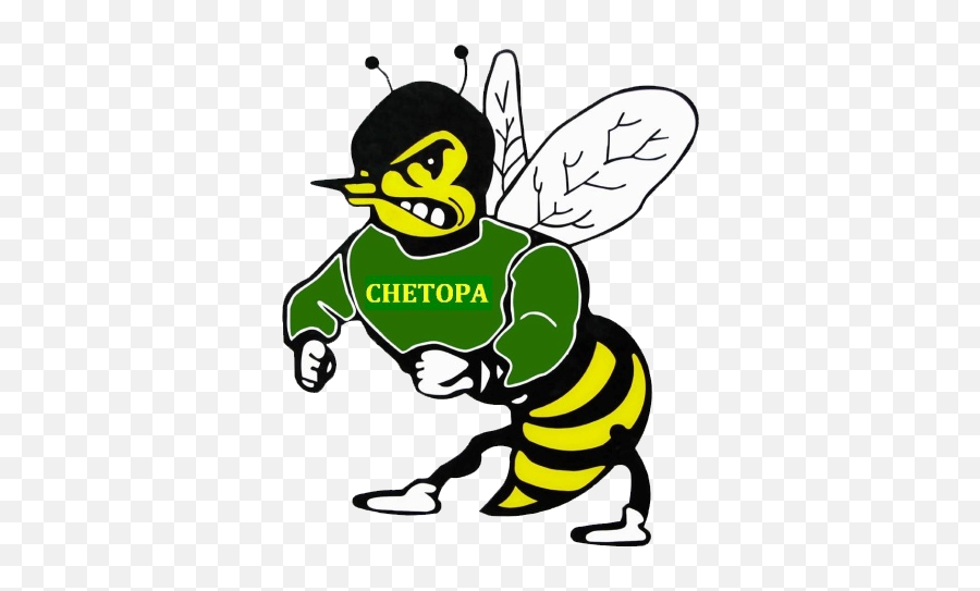 Chetopa Green Hornets - Eastern Kansas Girls Basketball Emoji,Hornets Clipart