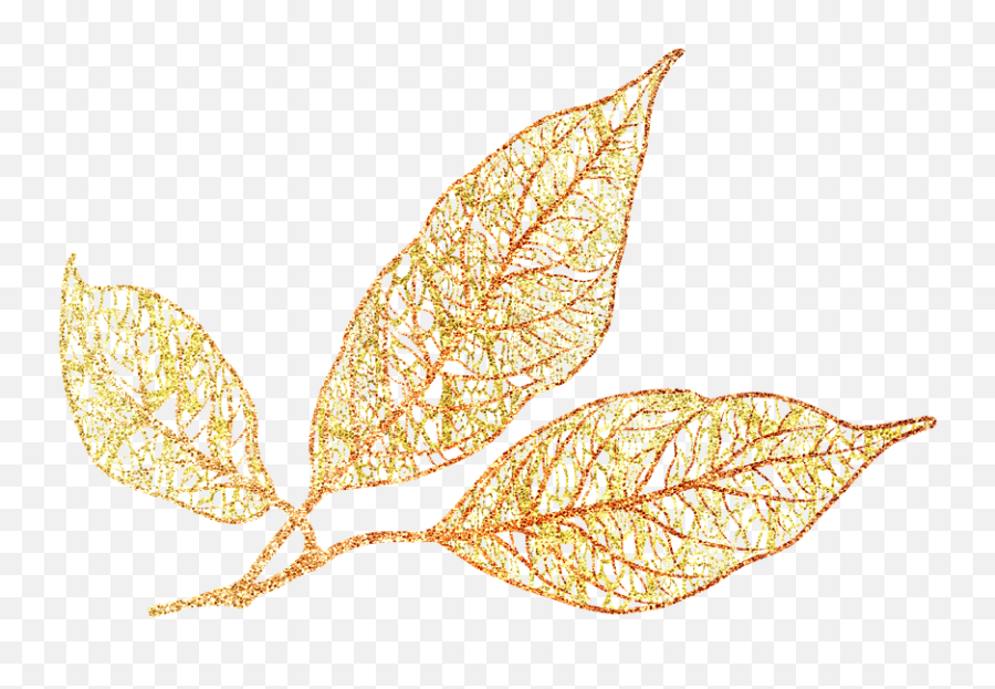 Autumn Leaves Skeleton Leaf - Free Image On Pixabay Emoji,Fall Leaves Background Png