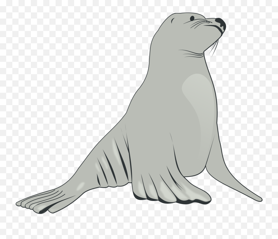 Free Sea Otter Clipart Black And White - Sea Lion Clipart Emoji,Otter Clipart