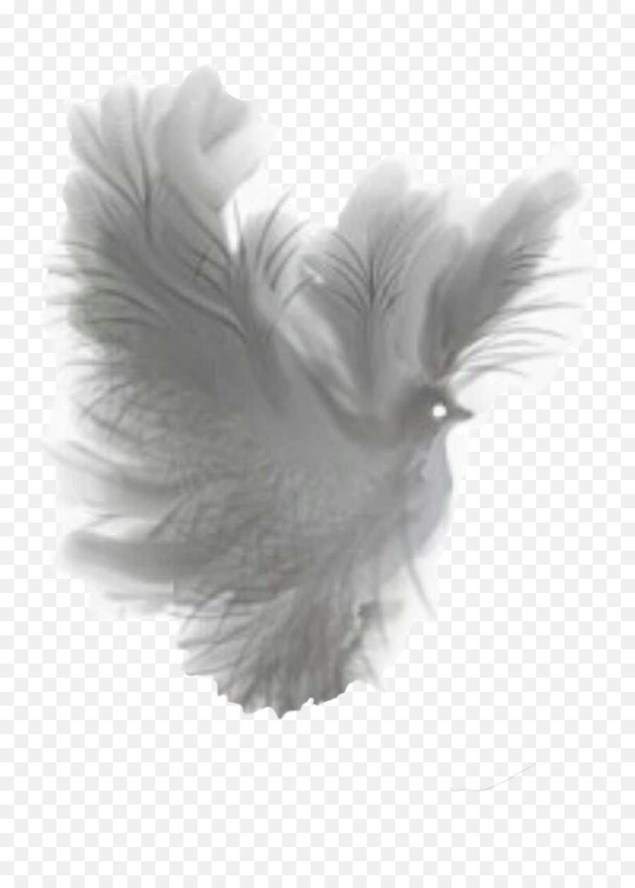 Fantasy Dove Transparent Png Image - Png Fantasy Emoji,Fantasy Clipart