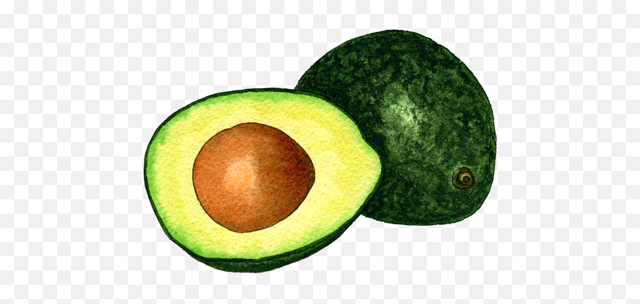 Download Free Png Background - Avocadotransparent Dlpngcom Avocado Emoji,Avocado Transparent Background