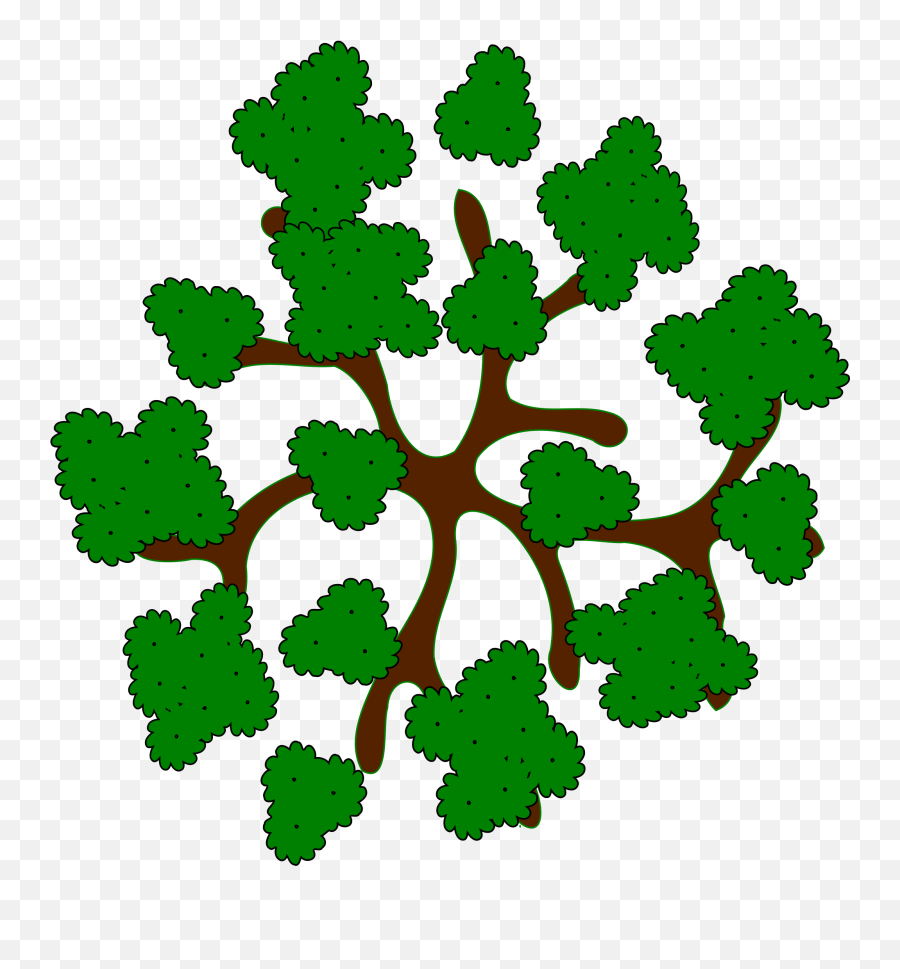 Tree Top View Cartoon Transparent Png - Trees Top View Clip Art Emoji,Trees Clipart