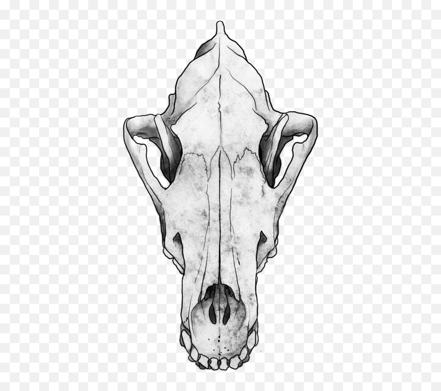 Download Wolf Skull Png Png Image With No Background - Wolf Skull Logo Free Emoji,Skull Png