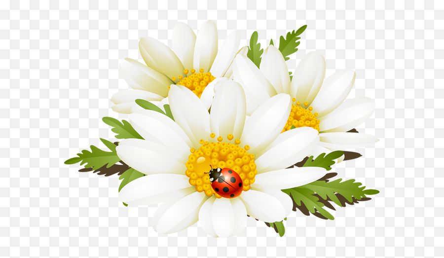 Summer Flower Clip Art Transparent Png Emoji,Summer Flowers Clipart